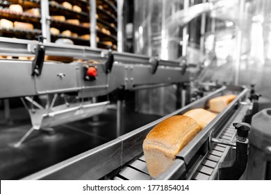 Fresh Hot Baked Breads On Automated Production Line Bakery. Manufacture Industrial.