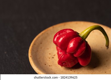 Fresh hot chilli  Ripe Trinidad Scorpion Moruga (Capsicum Chinese)  plate over dark background and space for text  Ideal for food recipe restaurant menu signs