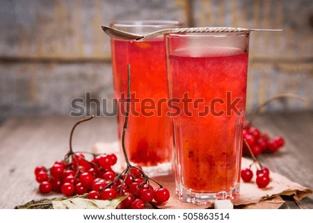 Similar – Image, Stock Photo viburnum tea in cup Fruit