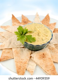 Fresh Hummus And Cut Up Whole Wheat Pita Bread