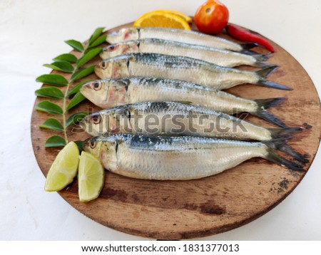 Fresh Indian sardine fish decorated with curry leaves ,Lemon slice and Tomatoes on a wooden pad ,White background.