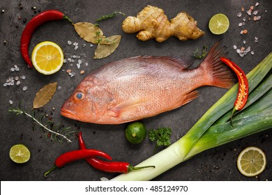 Red Snapper の画像 写真素材 ベクター画像 Shutterstock