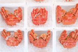 Fresh Japanese Crab In Ice, Hokkaido
