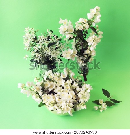 Similar – White Flowers Composing on light blue