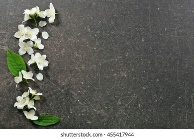 Стоковая фотография: Fresh jasmine flowers on color background