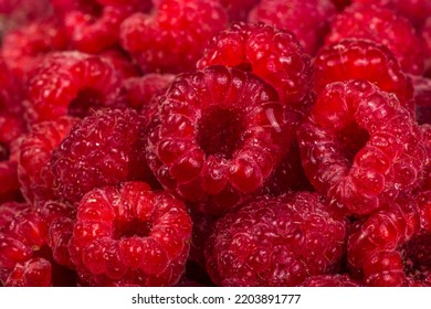 Fresh juicy raspberries close up. Background with red raspberries