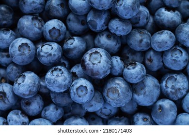 Fresh juicy ripe blueberries background