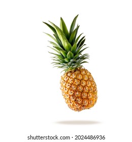 Fresh juicy tropical fruit pineapple flying isolated on white background. Single whole pineapple falling. - Shutterstock ID 2024486936