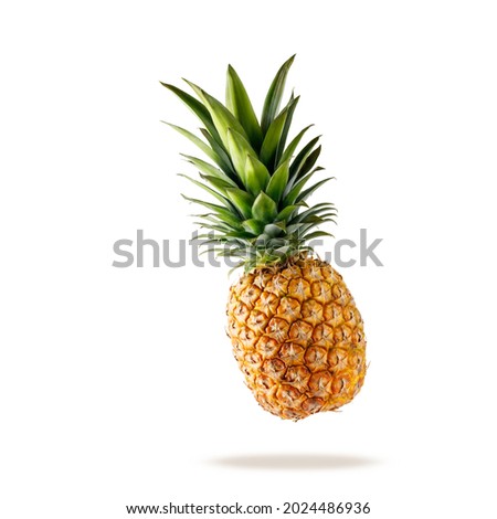 Fresh juicy tropical fruit pineapple flying isolated on white background. Single whole pineapple falling.