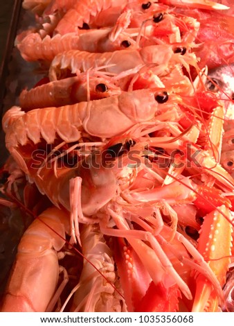 Fresh jumbo crayfish in the market showcase Stok fotoğraf © 