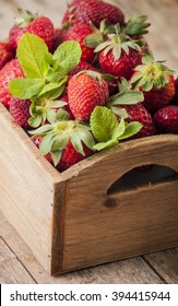 Fresh, Just-picked, Strawberries