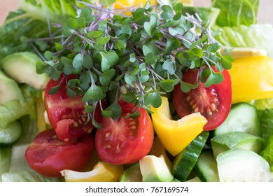 Fresh Kale And Broccoli Microgreens On Top Of A Vegetable Salad