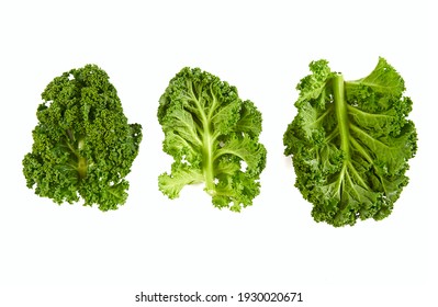 fresh kale isolated on white background