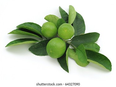 Fresh Key Limes