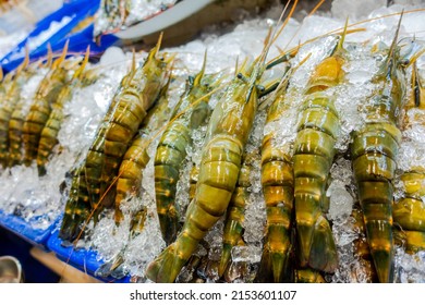 Fresh king prawn chilled with ice for preservation on sell in an open air gourmet high end exotic fresh food market in Bangkok, Thailand