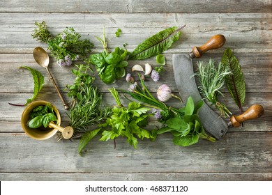 177,091 Italian Herbs And Spices Images, Stock Photos & Vectors ...