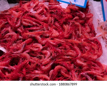 Fresh Langustino Gambas In Palma Market