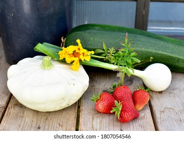 Fresh Late Summer Early Autumn Organic Harvested Vegetables From Home Grown Victory Garden