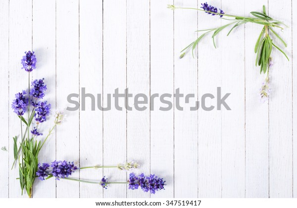 白い木のテーブル背景に新鮮なラベンダーの花 の写真素材 今すぐ編集