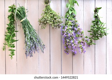 fresh lavender, sage, mint and marjoram are hanging to the ostrich to dry on a white wooden wall