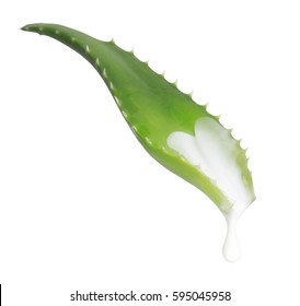 Fresh leaf of aloe vera. isolated on white background