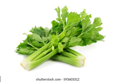 Fresh leaf celery isolated over a white background - Powered by Shutterstock