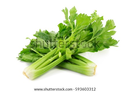 Fresh leaf celery isolated over a white background