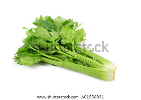 Fresh leaf celery isolated over a white background