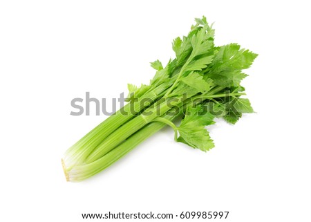 Fresh leaf celery isolated over a white background