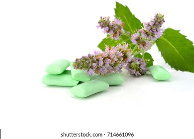 Fresh Leaf Mint With Chewing Gum