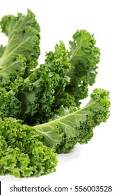 Fresh Leaves Of Curly Kale Isolated On White Background. 