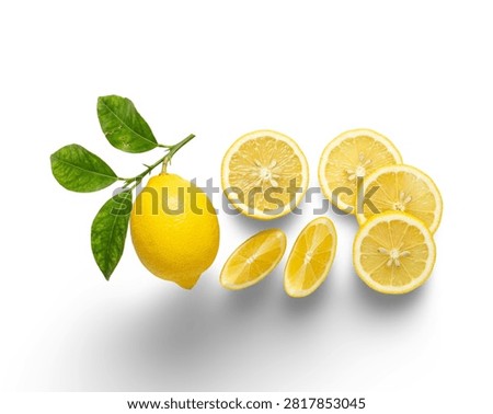 Fresh lemon fruit slices with leaf isolated on a clean white background.