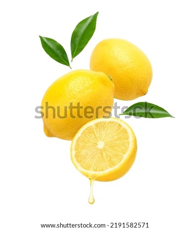 Fresh lemon  juice dripping with lemon fruits levitate isolated on white background.