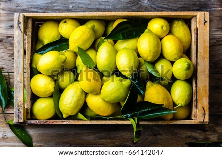 Fresh lemon with leaves. Lemon tree. Box of yellow lemons with fresh lemon tree leaves on wooden background. Top view