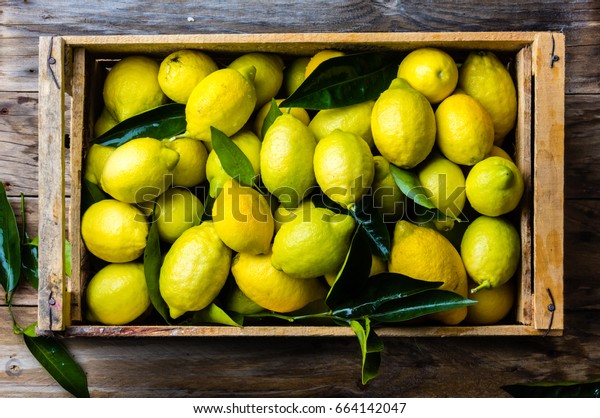 Fresh\
lemon with leaves. Lemon tree. Box of yellow lemons with fresh\
lemon tree leaves on wooden background. Top\
view