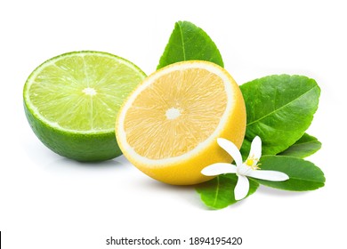 Fresh lemon and lime fruit cut in half slice with green leaf and flower isolated on white background.