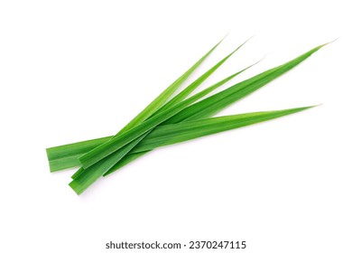 Fresh lemongrass green leaves isolated on white background , top view , flat lay. - Powered by Shutterstock