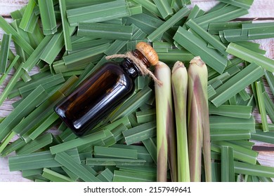 fresh lemongrass leaves with essential oil bottle on table Lemongrass is a tropical, grassy plant used in cooking and herbal medicine. Extracted from the leaves and stalks, citrus scent.
