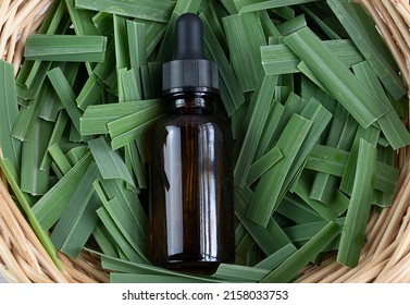 Fresh Lemongrass Leaves With Essential Oil Bottle On Table Lemongrass Is A Tropical, Grassy Plant Used In Cooking And Herbal Medicine. Extracted From The Leaves And Stalks, Citrus Scent.