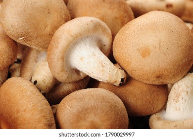 Fresh Lentinus Edodes Mushroom  ，food Background