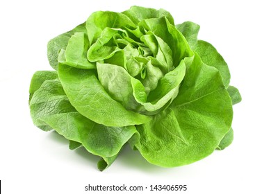 Fresh Lettuce Isolated On White