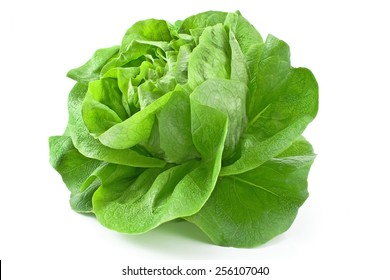 Fresh Lettuce Isolated On White