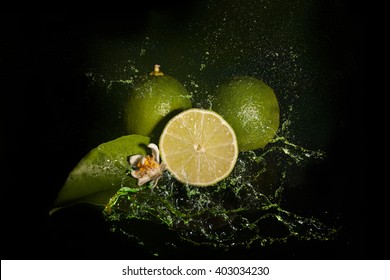 Fresh lime in juice splash, isolated on black background.