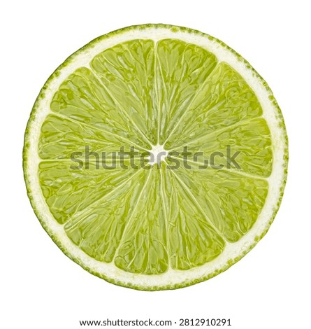 Fresh lime slice isolated on white background 