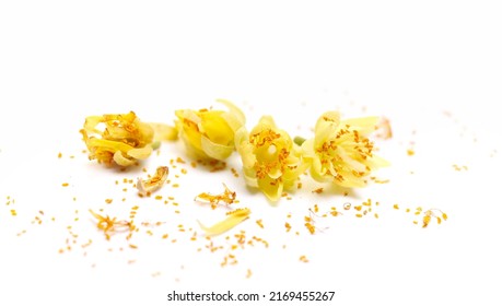 Fresh Linden Flowers, Pollen Isolated On White, Macro  