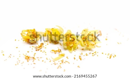 Fresh linden flowers, pollen isolated on white, macro  