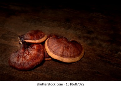 Fresh Lingzhi mushroom on dark wooden floor. (Ganoderma Lucidum). Chinese traditional medicine and nutritive value.