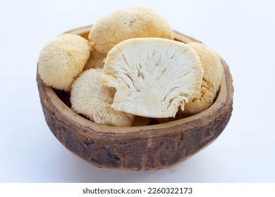 Fresh  lion's mane mushroom on white