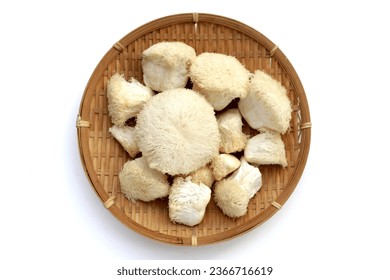 Fresh lion's mane mushroom on white background. (Yamabushitake Mushroom)
