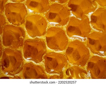 Fresh Liquid Honey In The Cells Of A Honeycomb Close-up. Macro Photo Of Beeswax Honeycombs Filled With Delicious Healthy Honey.